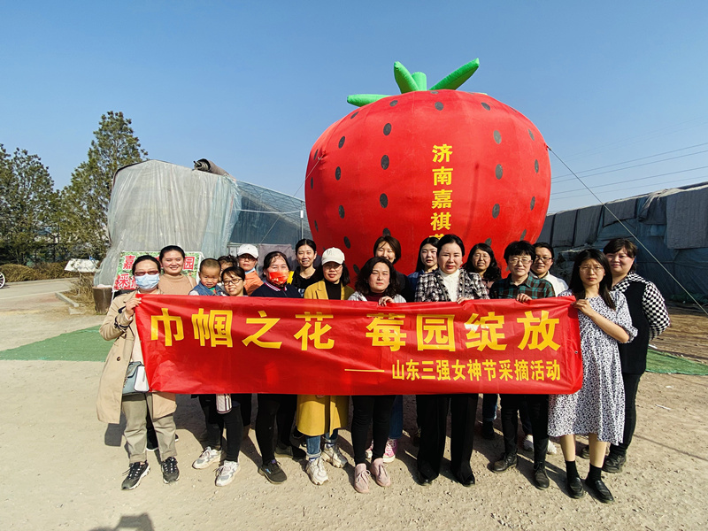 巾幗之花，莓園綻放 ——山東三強組織“三八”節(jié)踏青采摘活動